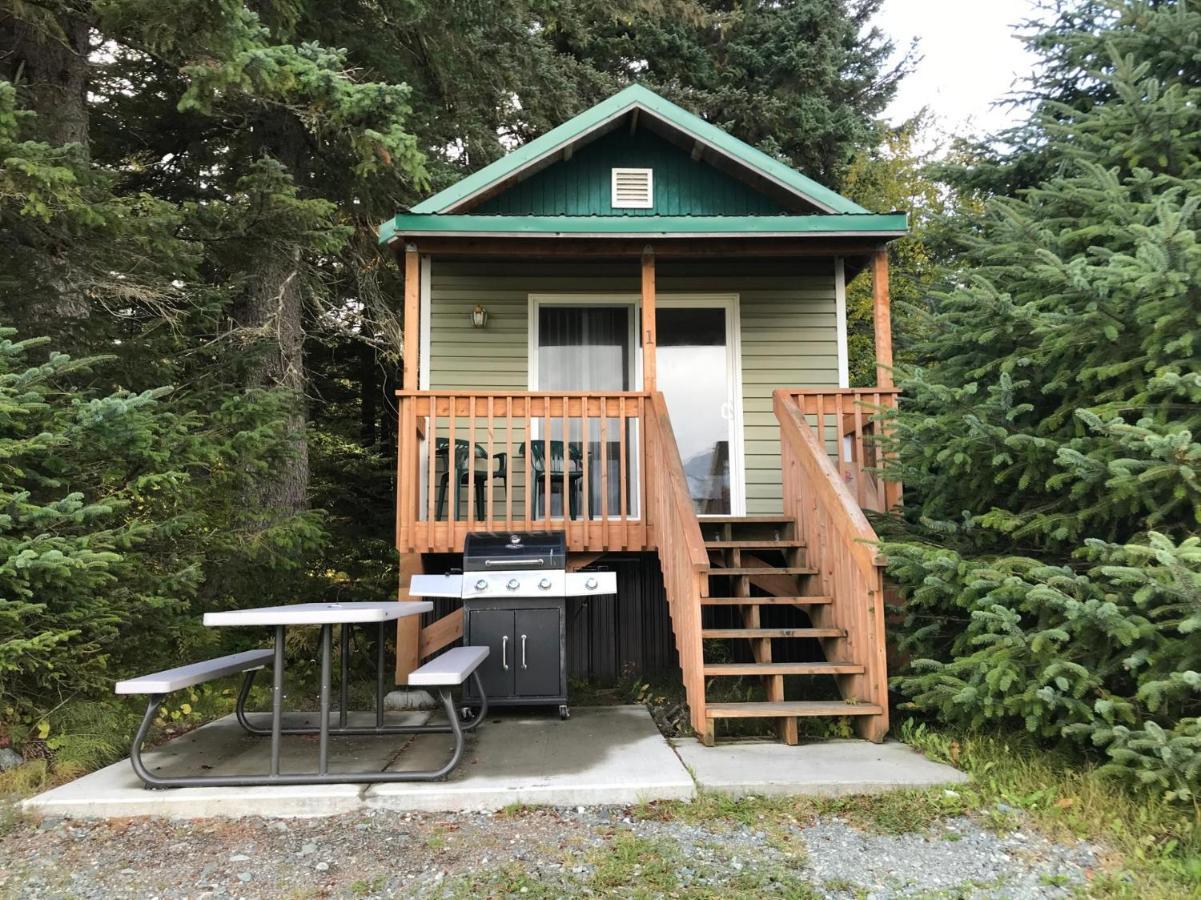 Cabin 3 Lynn View Lodge Haines Exteriér fotografie